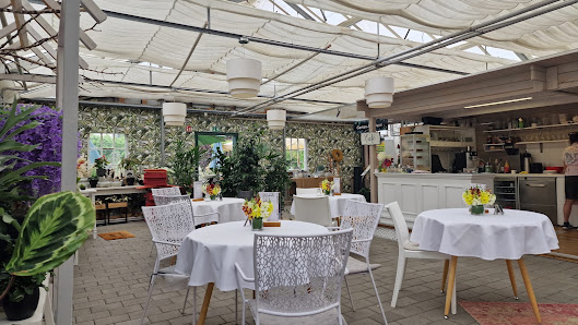 Cimiotti's Garten
