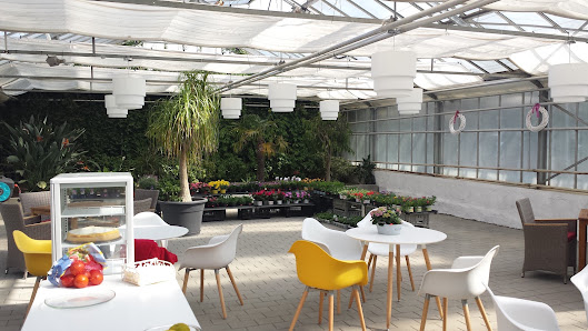 Cimiotti's Garten