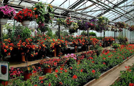 Blumen Bessey