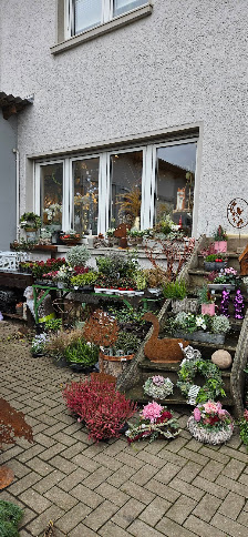 Blatt u. Blüte - Stefanie Wallerich