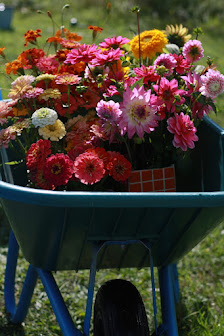 Blumenfarm Kanzem