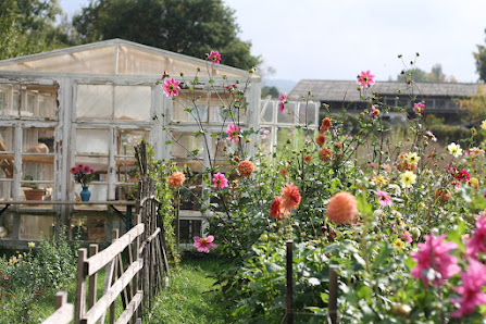 Blumenfarm Kanzem