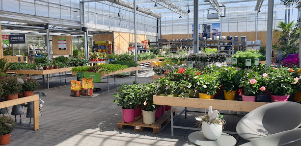 1 A Garten Fink