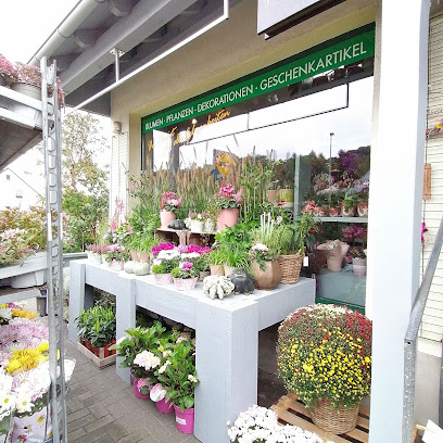 Blumen Adolphs