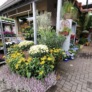 Blumen Adolphs