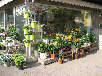 Blumen-Jentzsch