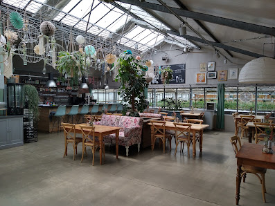 Gartenbau und Floristik Lauer GmbH & Co KG