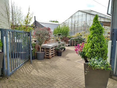 Gartenbau und Floristik Lauer GmbH & Co KG