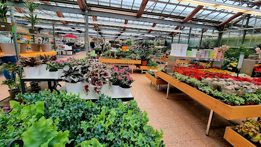 Dehner Garten-Center