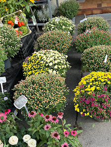 Blumenhaus Christa Groß