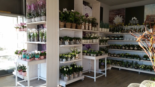 Bart & Bastian Shops St. Wendel