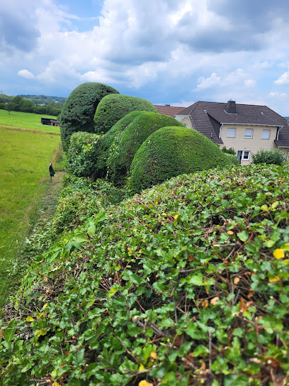 Exklusivgärten Gartenpflege Sebastian Grab