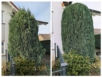 Gartenservice Leon Sassenrath