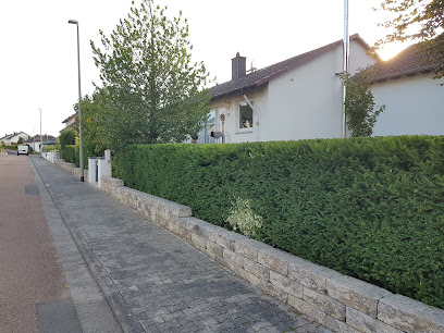 Baum & Gartenpflege Immergrün
