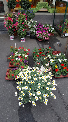 Blumenhaus Blunk