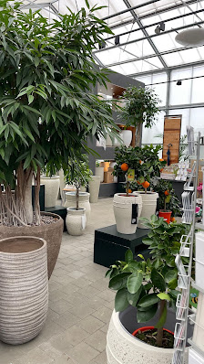 Blumen Gaab GmbH