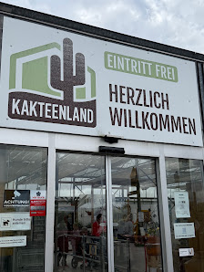 Kakteenland Steinfeld