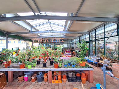Blumenhaus Katke