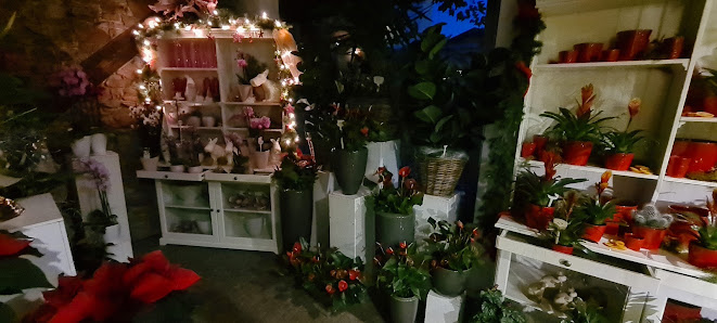 Blumen Jast