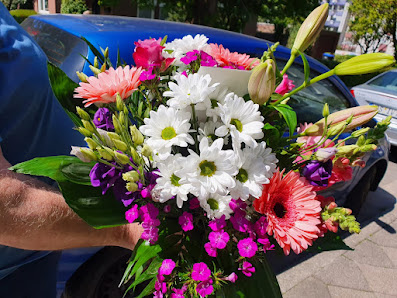 Blumen Jast