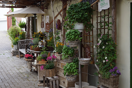 Blumenhaus / Gärtnerei Veith