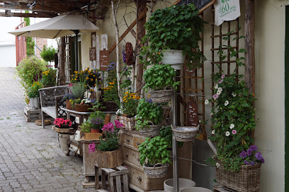 Blumenhaus / Gärtnerei Veith