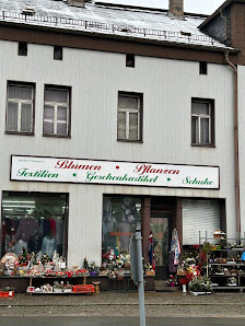 Blumenladen Blumen und Pflanzen Hoang Lan