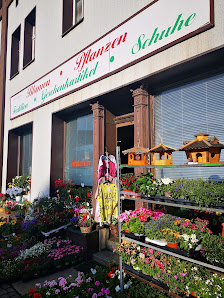 Blumenladen Blumen und Pflanzen Hoang Lan