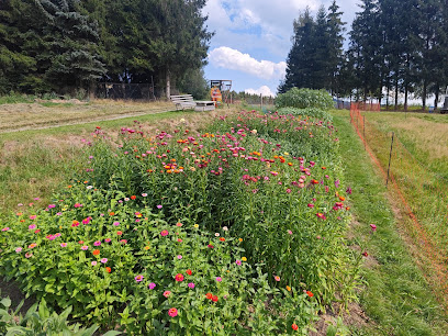 Blumen zum Selberschneiden