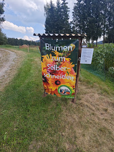 Blumen zum Selberschneiden