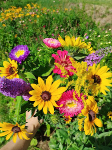 Blumen zum Selberschneiden
