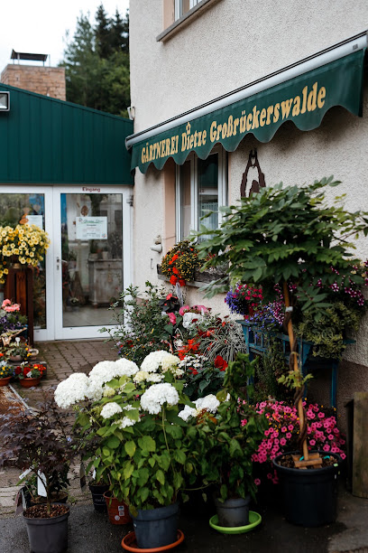 Gärtnerei Dietze Großrückerswalde