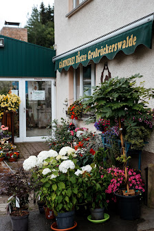 Gärtnerei Dietze Großrückerswalde