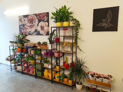 Blumen am Fürstenplatz (Inh. Michaela Schmidt,vormals Mende)