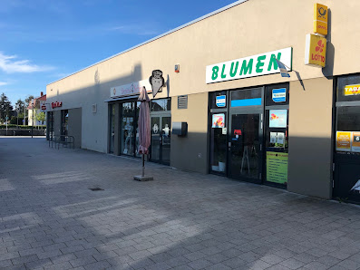 BLUMEN
