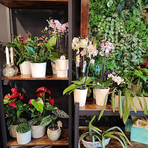 Blumengeschäft Blütenträume