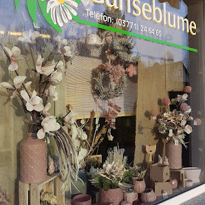 Gänseblume Inh. Katrin Sichtig-Liebold