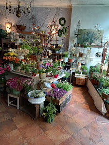 Das Kleine Grossartiges mit Blüten Inh. Silke Günther Blumenfachgeschäft