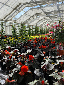 Gartenbau Kunnersdorf