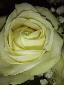 Blumiges