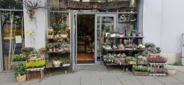 Blumengeschäft Blattmaus