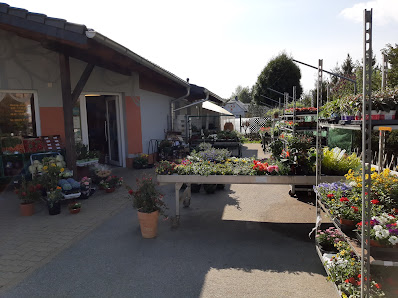 Blumenhaus Fröhlich Inh. Kerstin Kretzschmar
