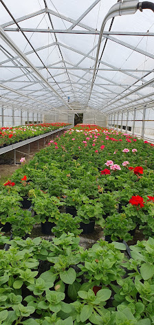 Gartenbau Günzel eGbR