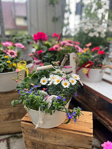 Blumenhaus Färber Inhaber: Thomas Färber