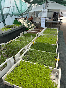 Gartenbau Meyer