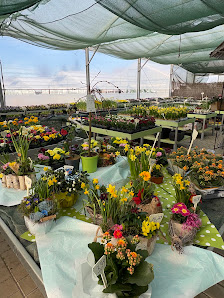 Gartenbau Meyer