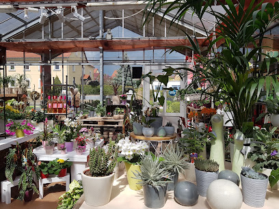 Blumenhaus Teuser & Gärtnerei Otto Peter
