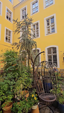 saltoflorale