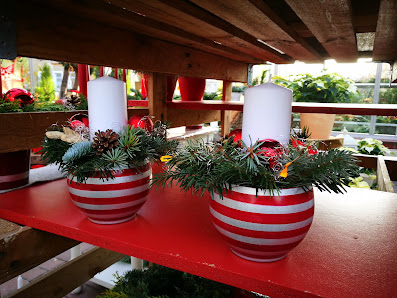 Blumenfachgeschäft & Gärtnerei Griesel
