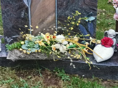 Blumen Oase